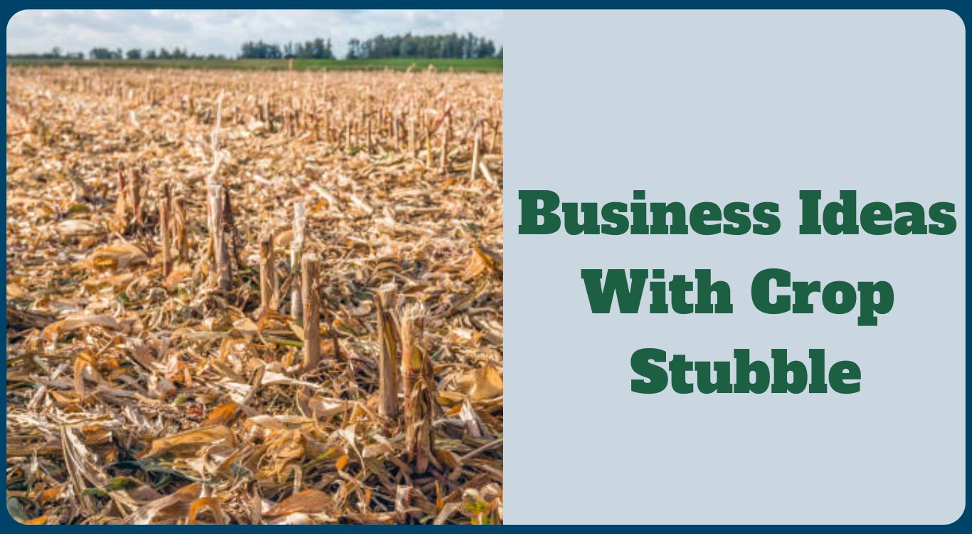 Stubble-Based Business Ideas & Startups That Will Help Reduce Pollution